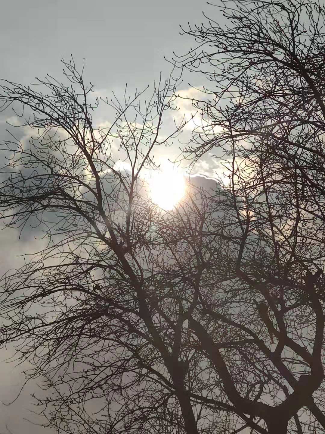 1226soloreclipse.jpg